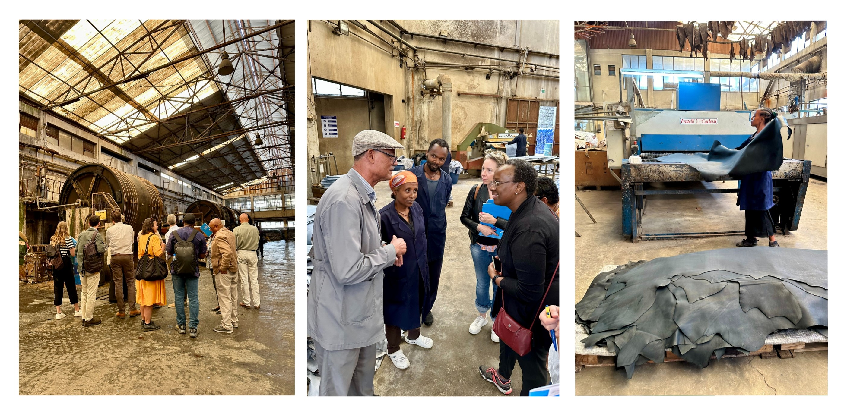  A practical exploration of the dynamic leather production value chain as part of the field visit © EUTF