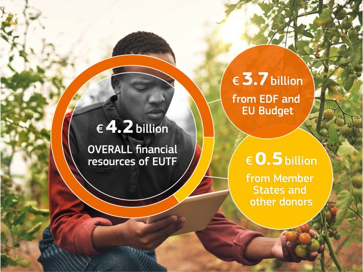 REG-REG-AR 2018_Visuals 2_Resources