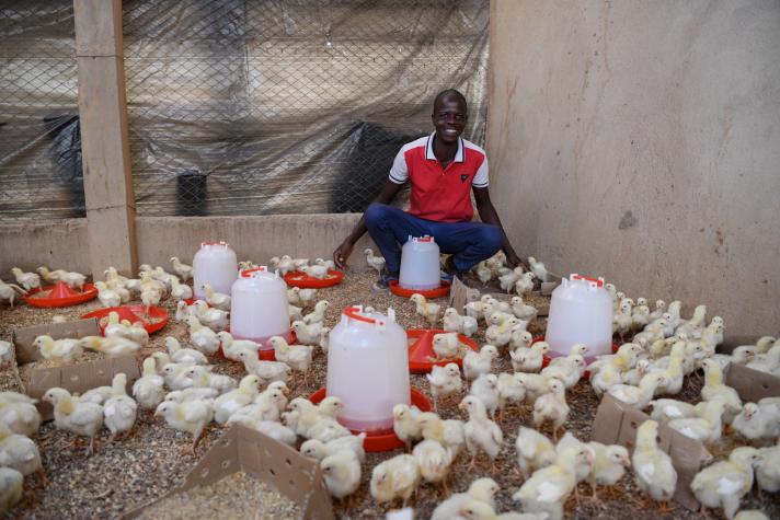 Burkina Faso : Aziz et Seyiba, un duo gagnant de l’aviculture
