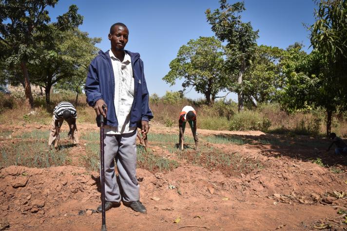 Pour lancer son projet, Oumar a pu occuper un terrain familial boisé de 3 hectares. Quatre personnes ont travaillé à la sueur de leur front pour débroussailler une première superficie cultivable de 1 hectare.