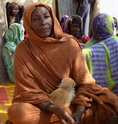 Témoignages des femmes assistées par le programme RESTE, au Tchad