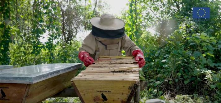 Achile while dealing with his bees ©Publication by the European Union   