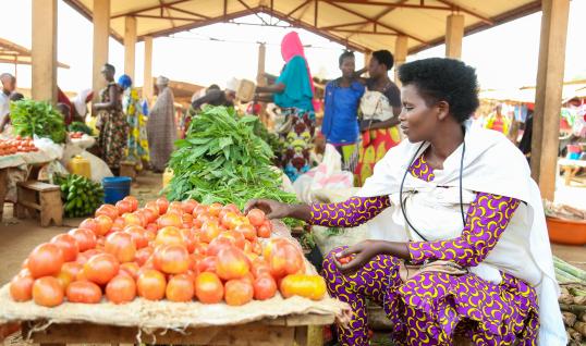   Photo d’une bénéficiaire de Concern Worldwide à Kirundo/Bugabira illustrant l'accès aux moyens de subsistance © ReDSS-GL. Photo credit ATSA Creative