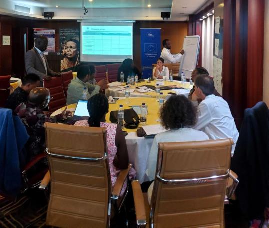 Seminar participants reflect on lessons learned and the best strategies for evidence-informed decision-making in fragile contexts. ©C4ED/European Union