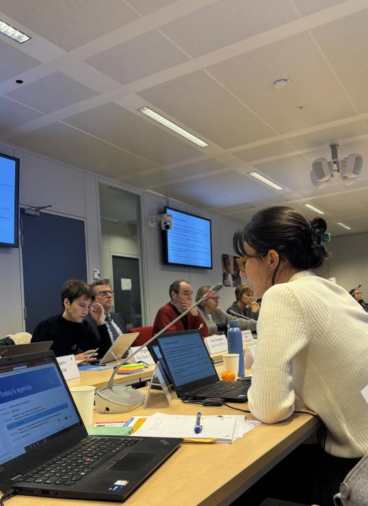 Camilla Fogli, Project Officer at the Joint Research Centre, introducing the study at the workshop. ©European Commission