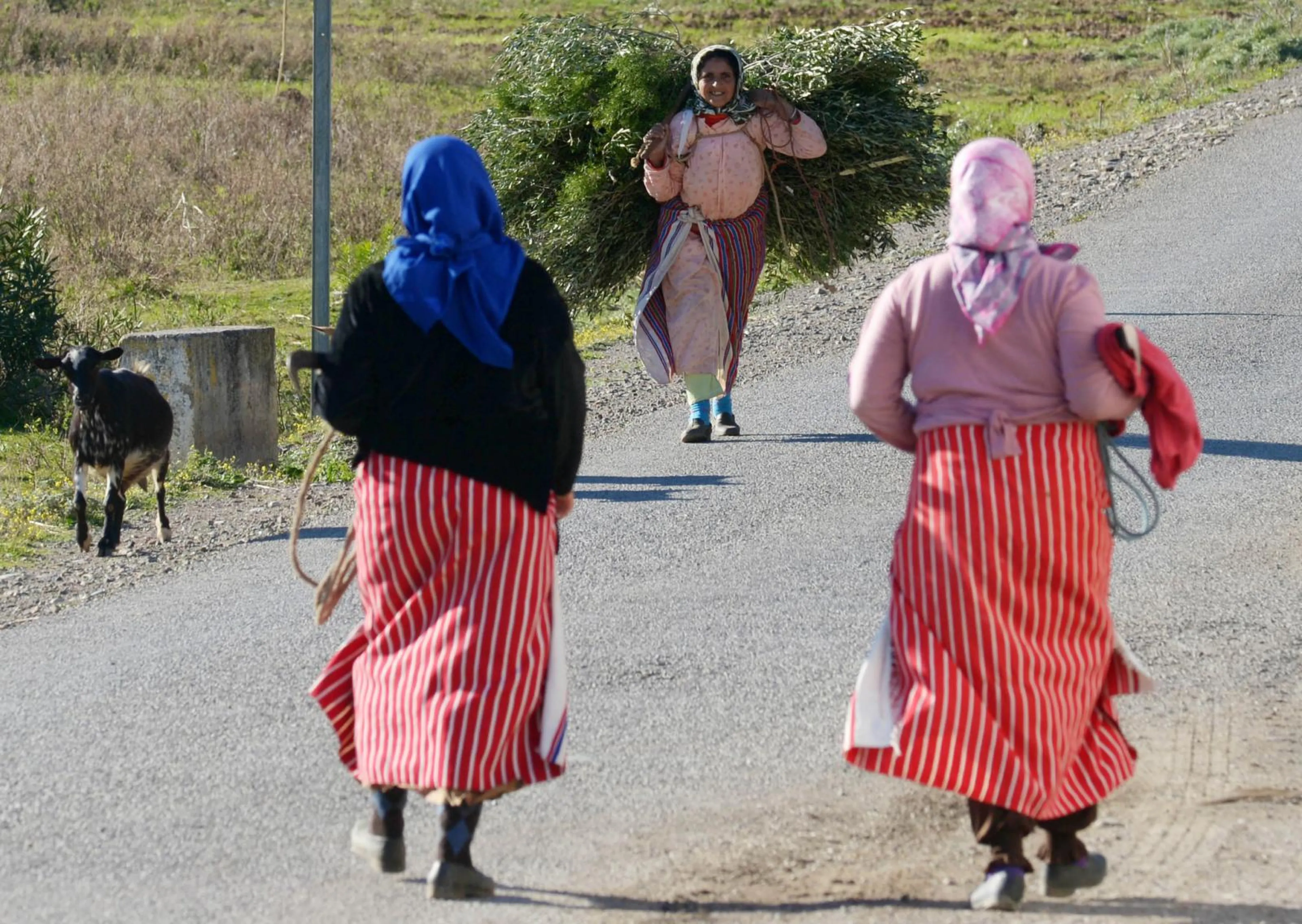 NoA - Morocco.jpg