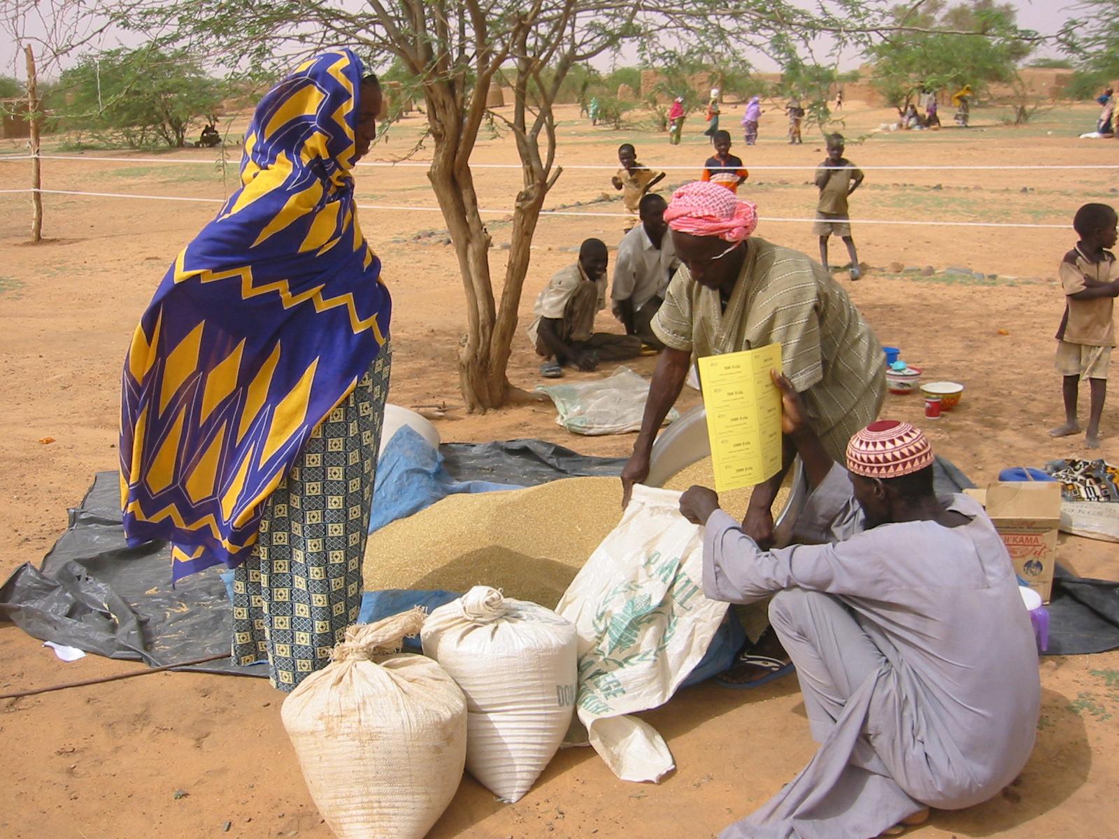 Seeds fair int he Zinder region, Niger