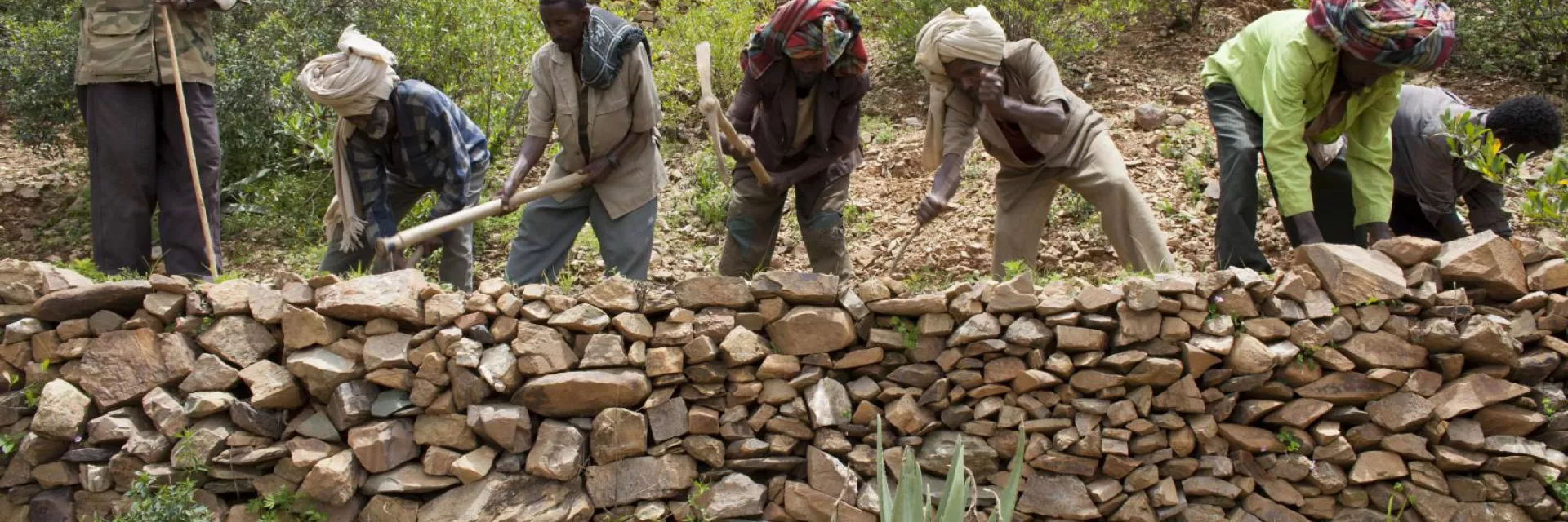 Making land fertile again