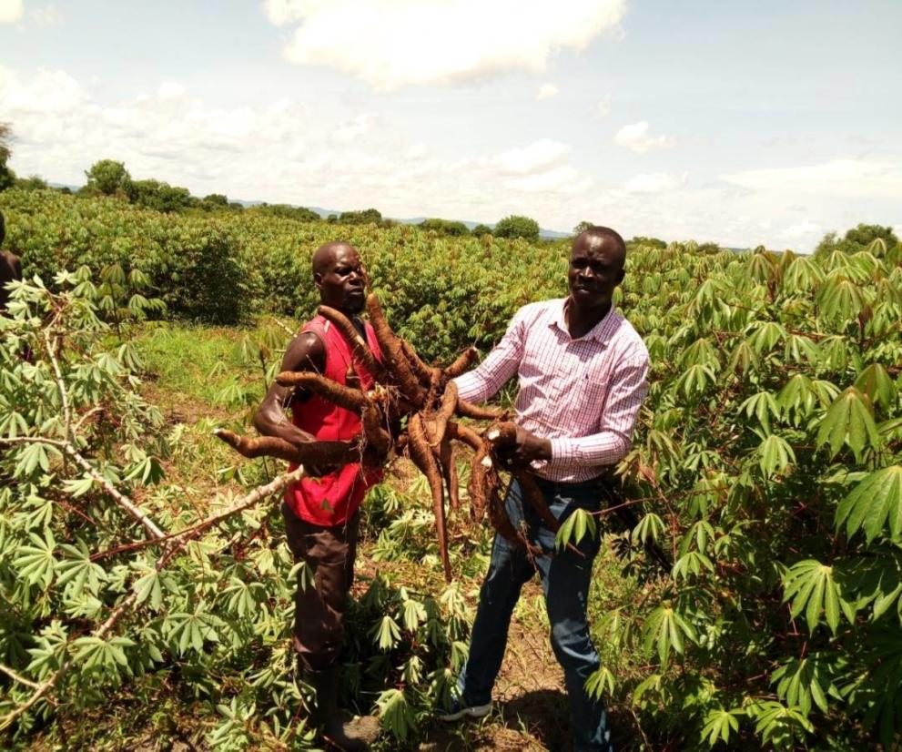 Uganda farming project: Ronnie now owns his own land and helps plant seeds for a better co-existence between refugees and host community