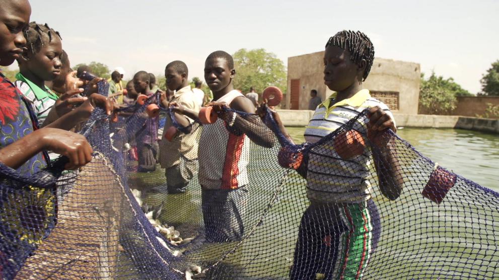 CERTIFICAT DE QUALIFICATION DE BASE