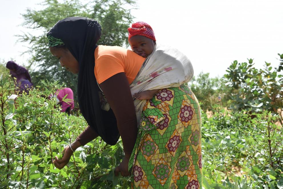 Une femme réfugiée malienne avec son bébé dans l'un des jardins financés par l'EU dans le camp de Mbera