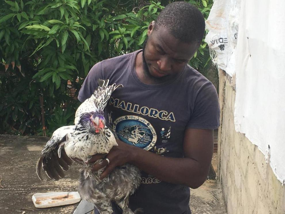 Young entrepreneur Baboucarr Jaiteh expands his poultry business with support from the ITC Youth Empowerment Project in The Gambia