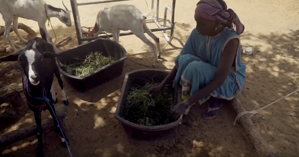 La où la faim presse