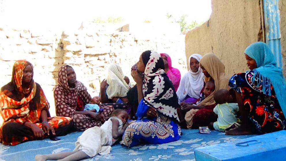 Renforcement de la résilience : les activités d’épargne et de crédit révolutionnent la vie à Ngouri