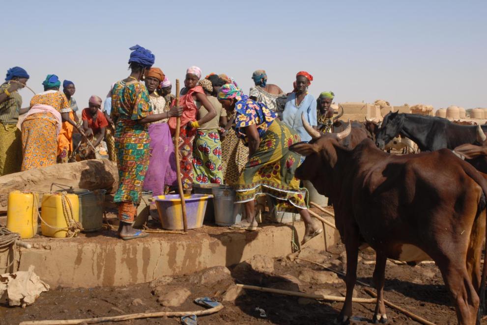 Femmes et bétails au Niger
