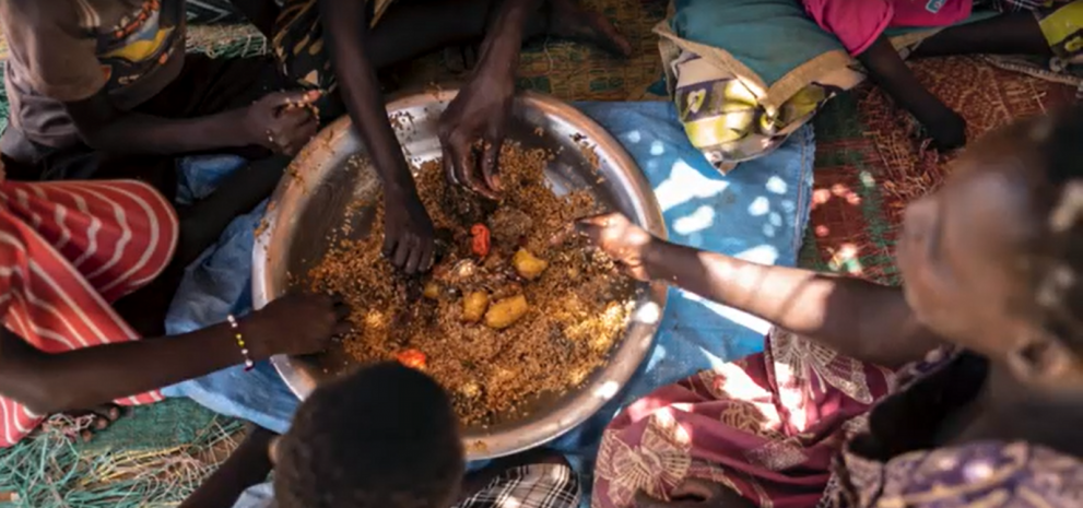Sécurité alimentaire : l´importance d´avoir accès à une alimentation de qualité et diversifiée pour lutter contre la malnutrition