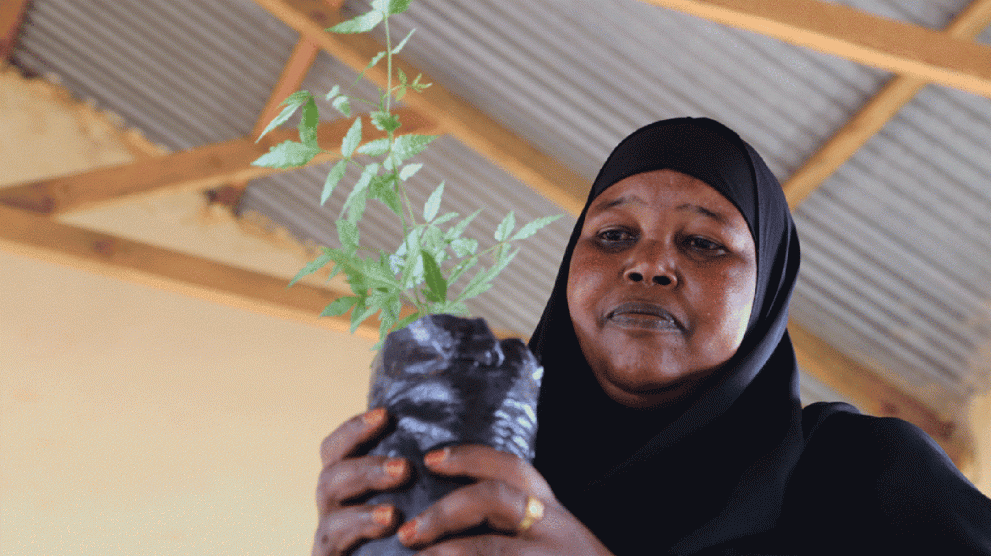 According to Kaltuma Abdulaiman, the school head teacher the few trees planted are not enough to provide shade from the scorching sun.