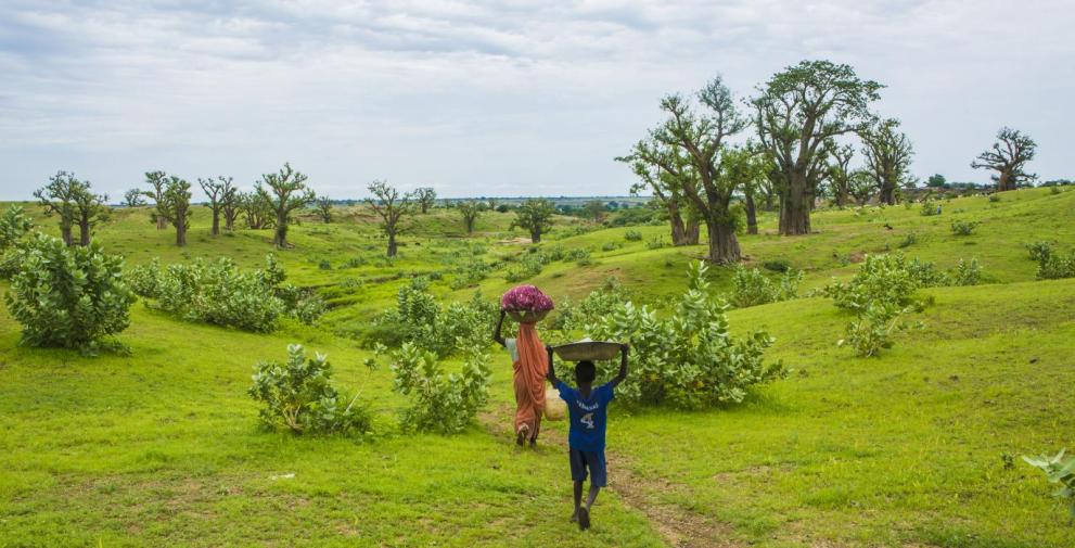 Walk along the blue nile.