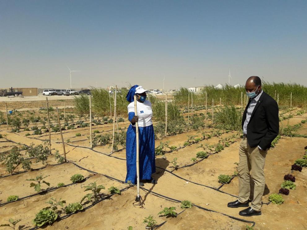 Programme SAFIRE ou l’insertion professionnelle des jeunes mauritaniens par le jardinage