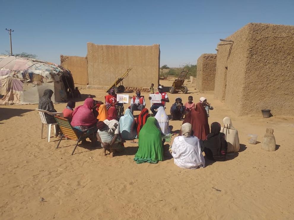 Red Cross health care provision for vulnerable people in Niger