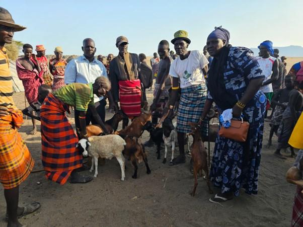 The family of Arii'ngole receiving sheep and goats from the Turkana boundary partners in Sies kraals, Dassenach Woreda. © Festus Lokwai, Program Officer SEEK II