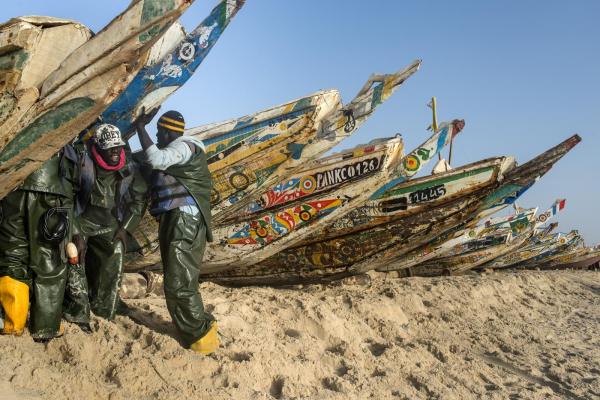 SAH - Mauritanie marche_poisson_nkt_3.jpg