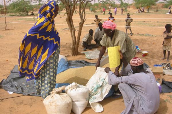 Seeds fair int he Zinder region, Niger