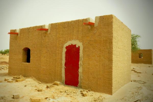 Renforcement de la résilience institutionnelle et communautaire dans la région Diffa