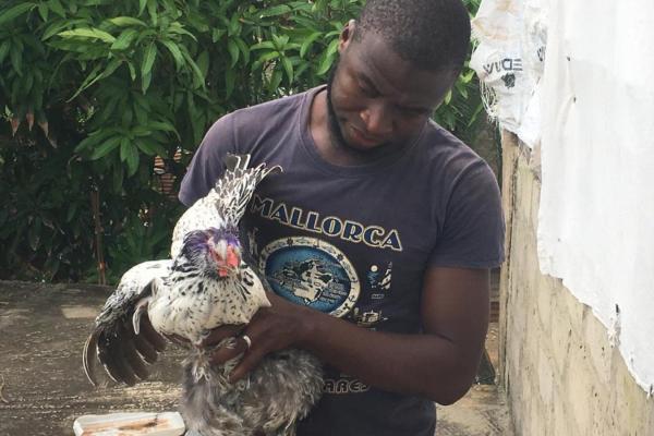 Young entrepreneur Baboucarr Jaiteh expands his poultry business with support from the ITC Youth Empowerment Project in The Gambia