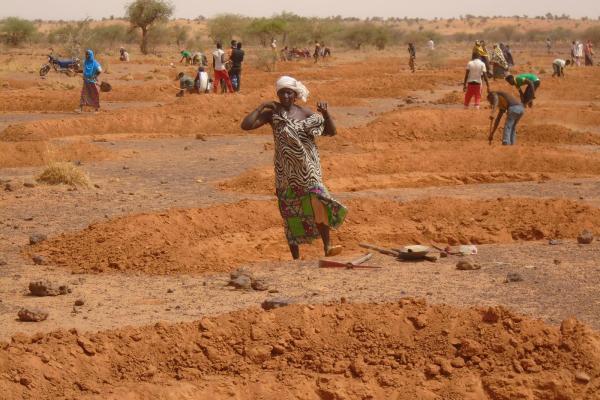 Au Niger, une ambitieuse campagne de récupération des terres lancée dans la région de Tahoua