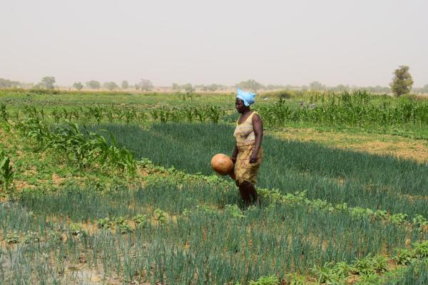 Au Burkina Faso, cloture des ateliers de validation des 18 premiers référentiels métier / formation / certification