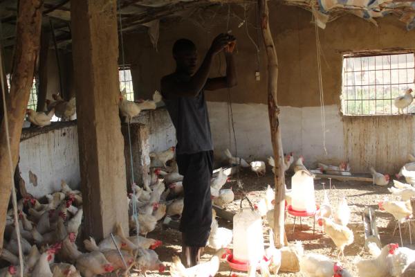 Bakel, à l'est du Sénégal : un suivi personnalisé des entrepreneurs