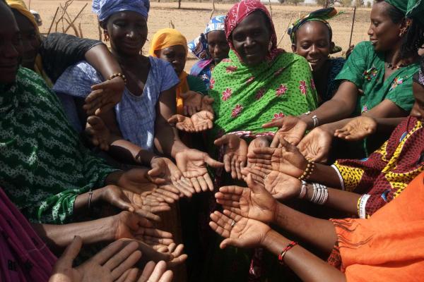 La diversification alimentaire accessible localement, une réussite pour le village de Gassé Safalbé au Sénégal