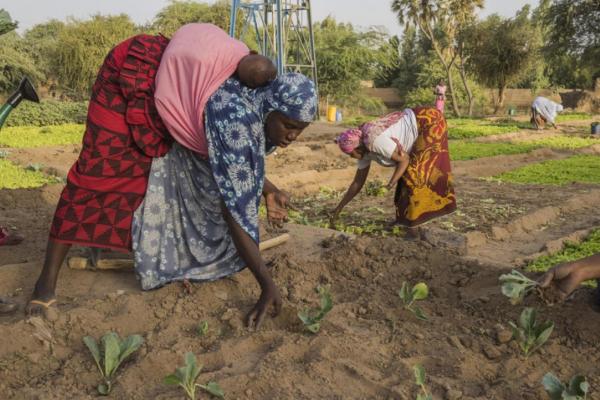 Dans une ville en détresse, certaines femmes prennent des initiatives