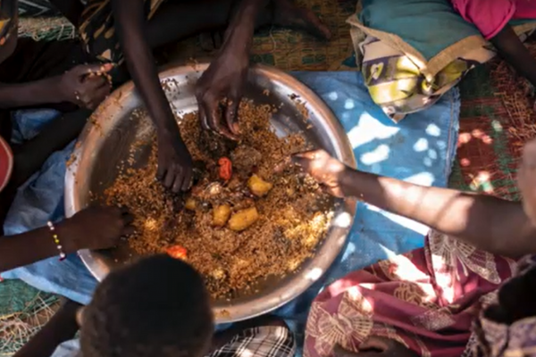 Sécurité alimentaire : l´importance d´avoir accès à une alimentation de qualité et diversifiée pour lutter contre la malnutrition