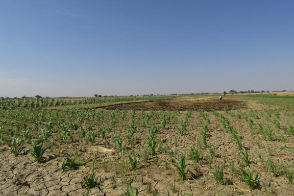 T05-EUTF-SAH-REG-17 : MLS REPORT Q2