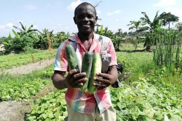 «L'horticulture au Ghana, pour un avenir meilleur» est l'un des dix premiers projets du programme ARCHIPELAGO