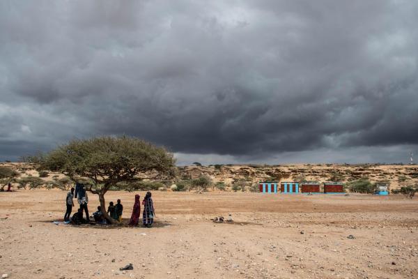 REG-DJI- IOM Joint inititative