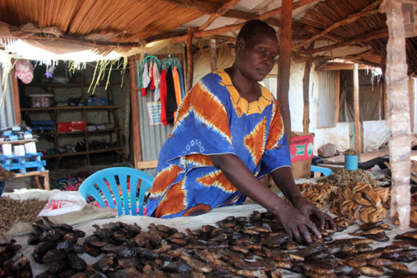 Jennifer Dudu at her fish stall in Ofua 3 market, Rhino camp