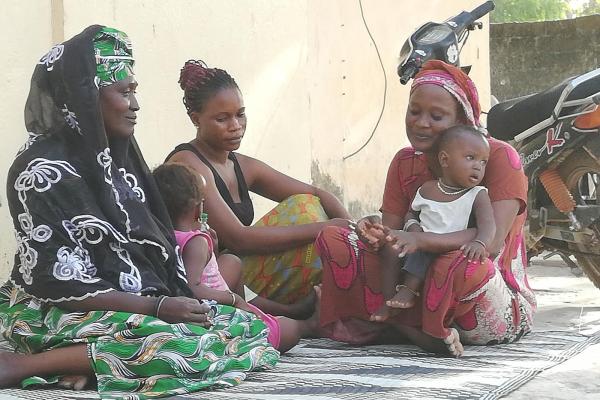 PROTEJEM GM Host families