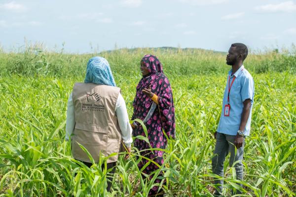 AICS staff during on-site impact analysis. | Credit: AICS.