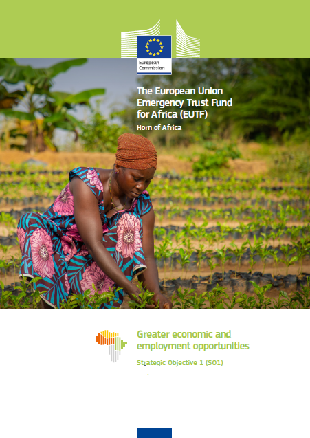 Horn of Africa Infographic - Strategic Objective 1 - Greater economic and employment opportunities