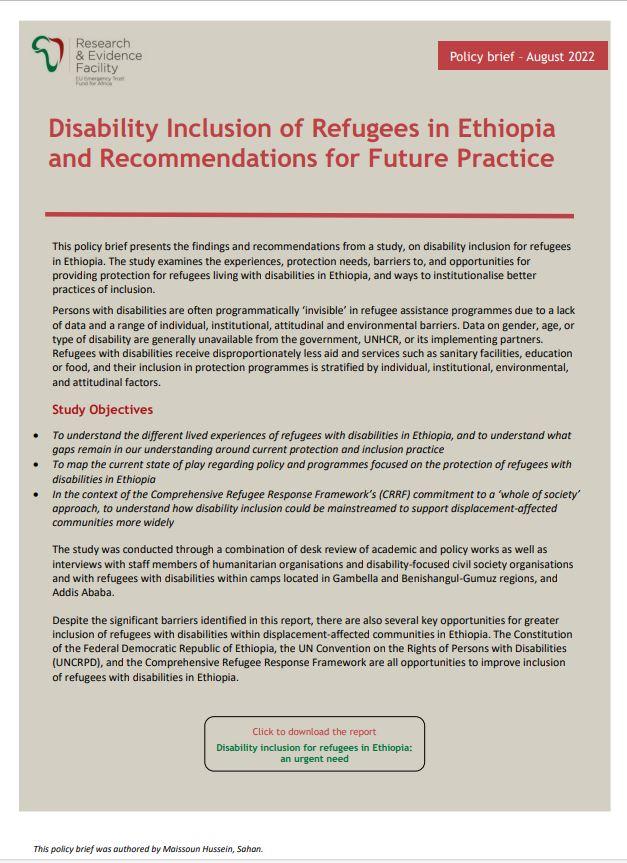 Disability inclusion