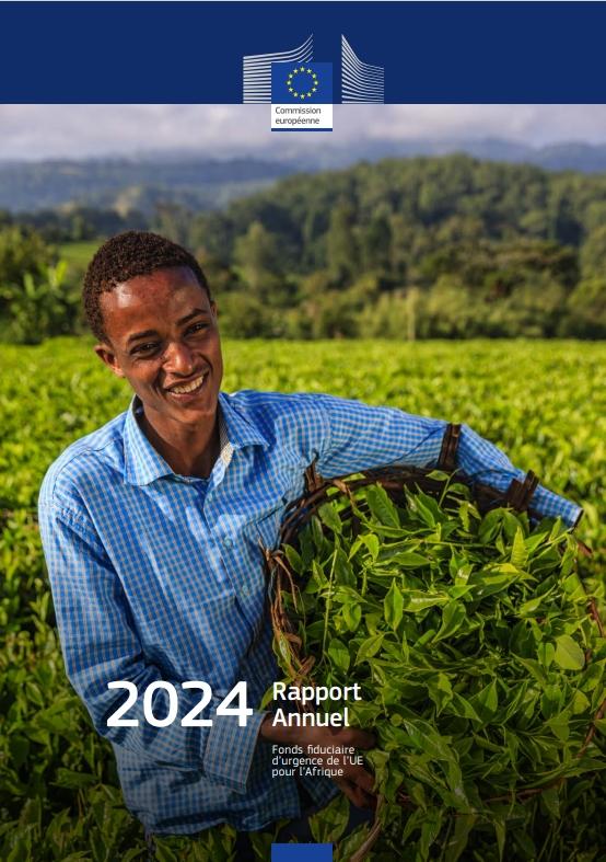 FFUE Rapport Annuel 2024 (Français)